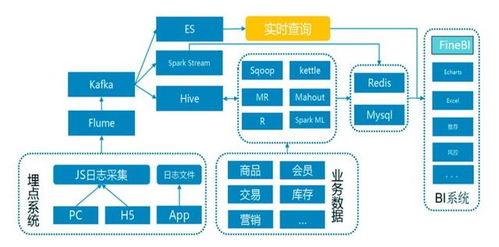 20年备受关注的6款数据工具 谁最好用？答案来了