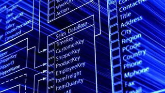 数据驱动未来 一所值得你首选的大学如何打造卓越的数据处理与存储支持服务